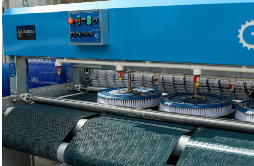 بررسی تفاوت‌های قالیشویی سنتی و مدرن